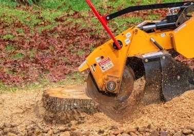 Why Stump Grinding is Essential for Your Property in Tualatin body thumb image