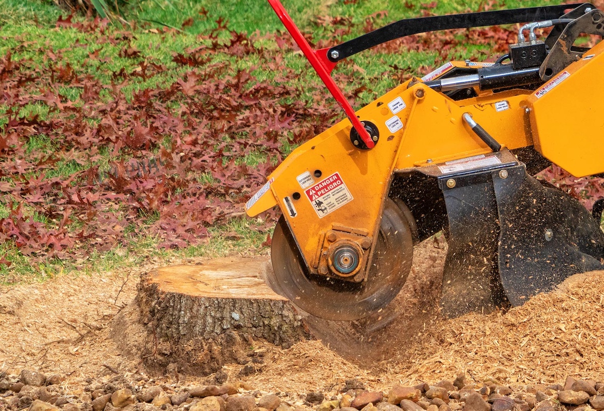 Why Stump Grinding is Essential for Your Property in Tualatin Image